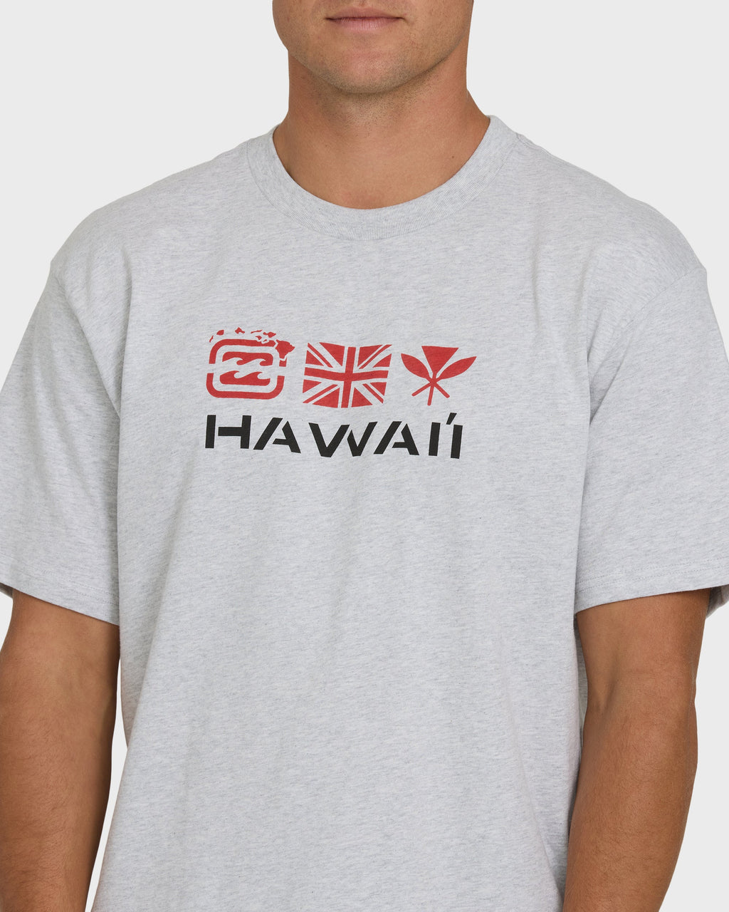 Kahili Hawaii Regular Short Sleeve Tee - Heather Gray